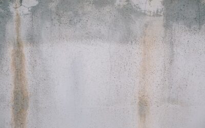 Assèchement des murs : solutions efficaces pour traiter durablement l’humidité