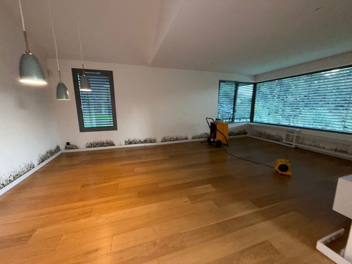Un salon avec des traces d'humidité à Grenoble
